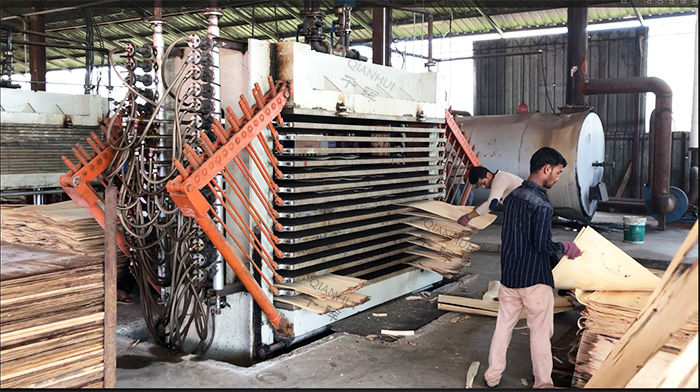 Plywood Veneer Dryer