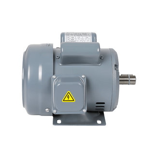 ZF Iron Shell Single-Phase Horizontal Double Capacitor Motor