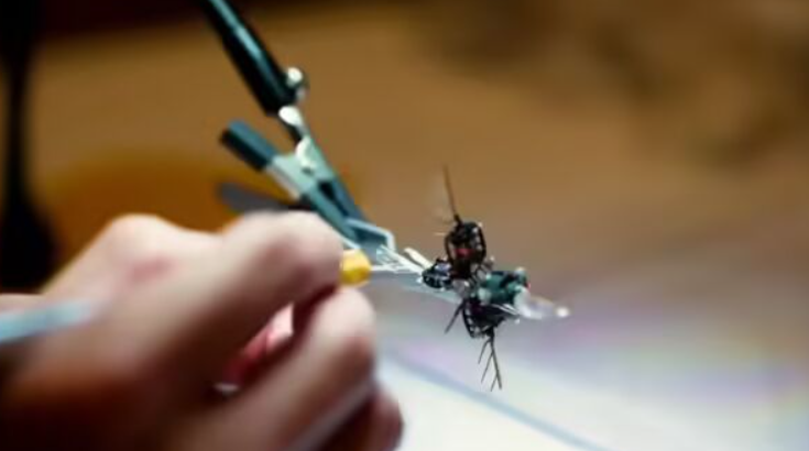MIT develops bee shaped robots
