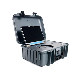 Portable handheld Raman spectrometer for rapid food and drug safety detection