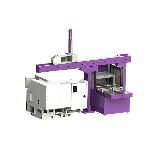 TZ-SZ High-Speed Intelligent Gantry Robot Production Line