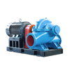 Industrial water transfer pump for raw water intake and distribution