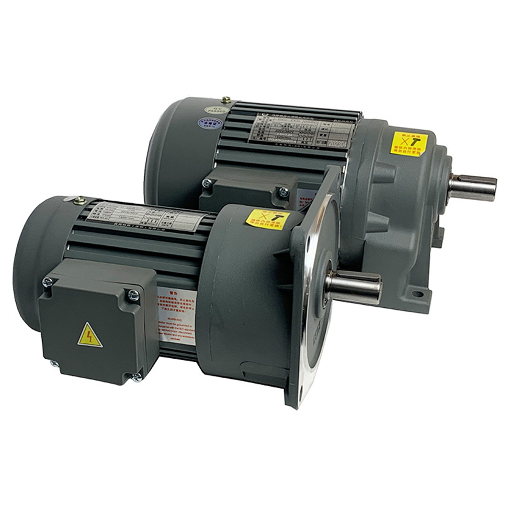Three-Phase 380V Gear Vertical Adjustable Speed Motor