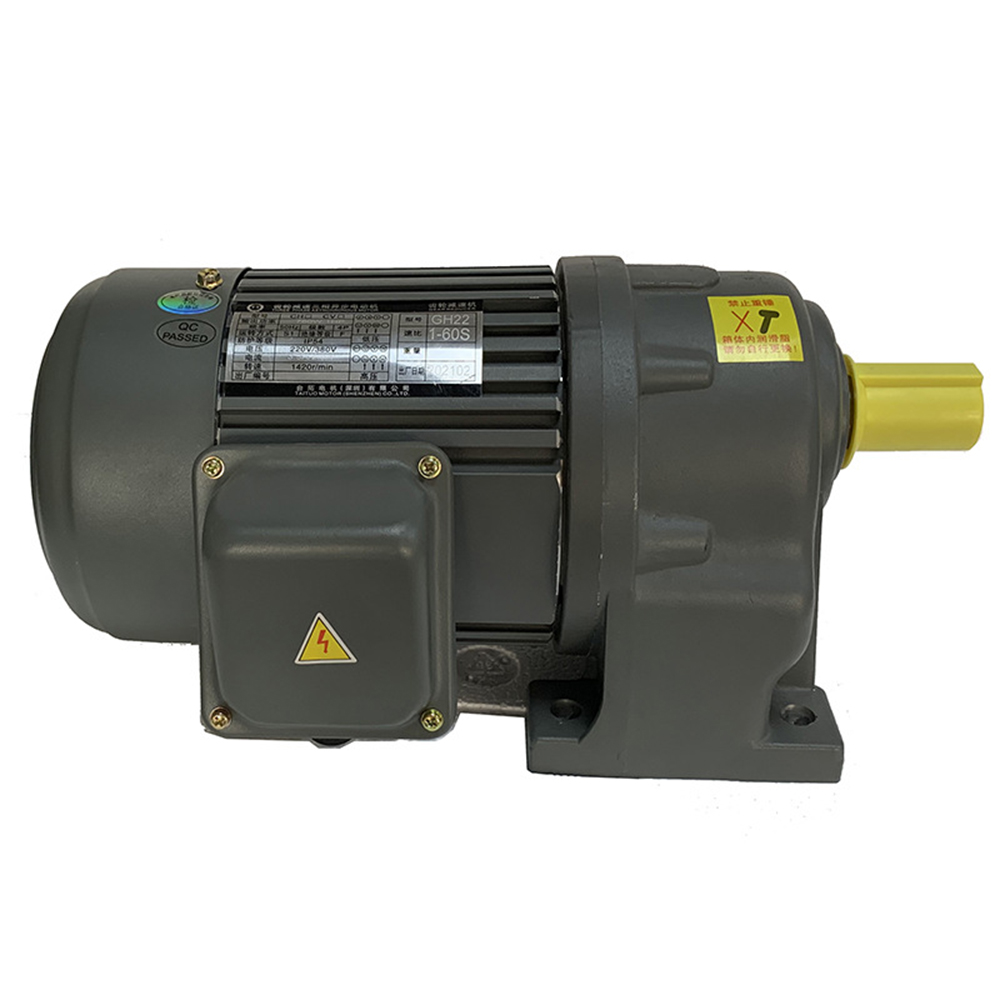 Three-Phase 380V Gear Vertical Adjustable Speed Motor