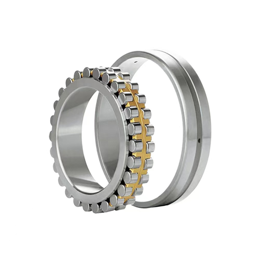 Double Row Cylindrical Roller Bearings