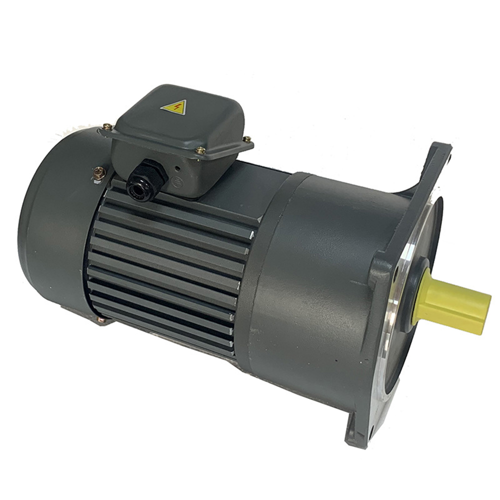 Three-Phase 380V Gear Vertical Adjustable Speed Motor