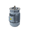 ZF Three-Phase Vertical Motor