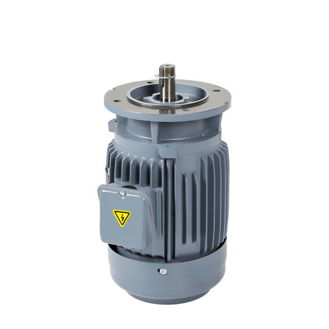 Front view of ZF three phase vertical motor designed for pumps, mixers, and cooling tower drive systems