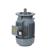 ZF Three-Phase Vertical Brake Motor