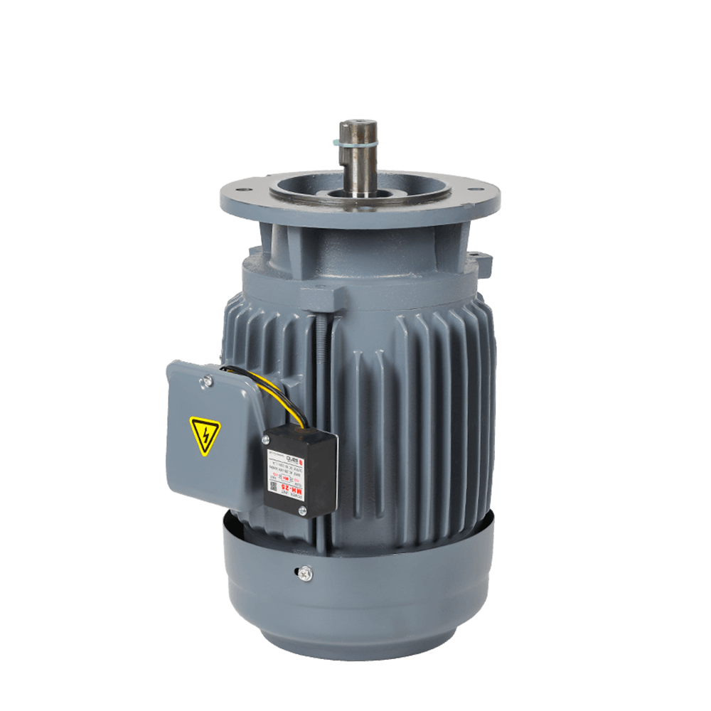 ZF Three-Phase Vertical Brake Motor