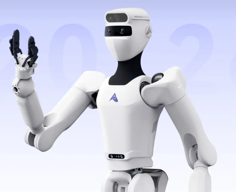 Chinese humanoid robots order frenzy .png