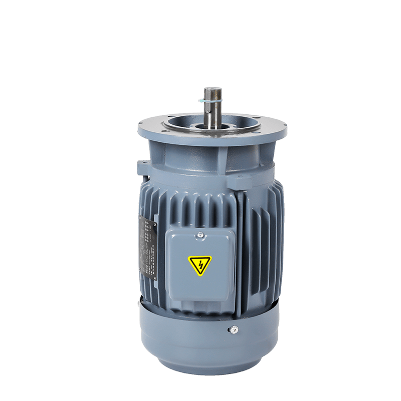 ZF Three-Phase Vertical Motor