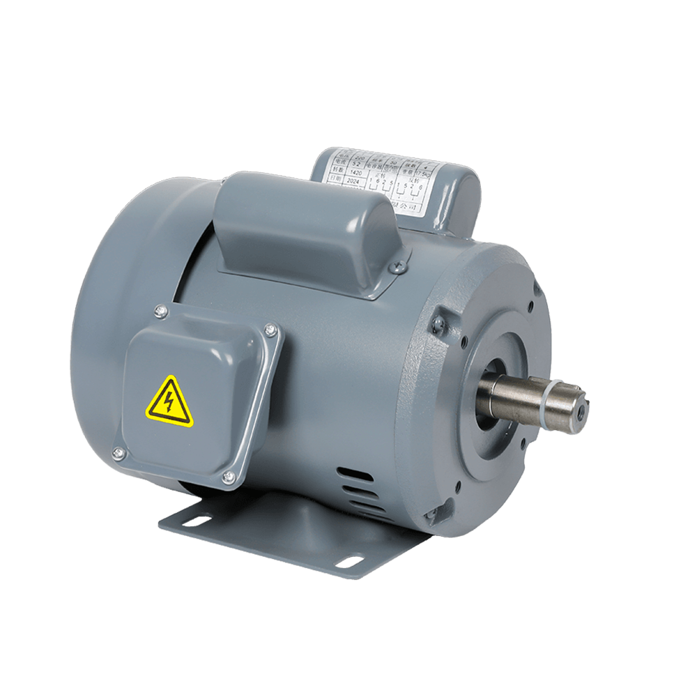 ZF Iron Shell Single-Phase Horizontal Double Capacitor Motor