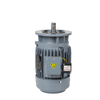 ZF Three-Phase Vertical Brake Motor