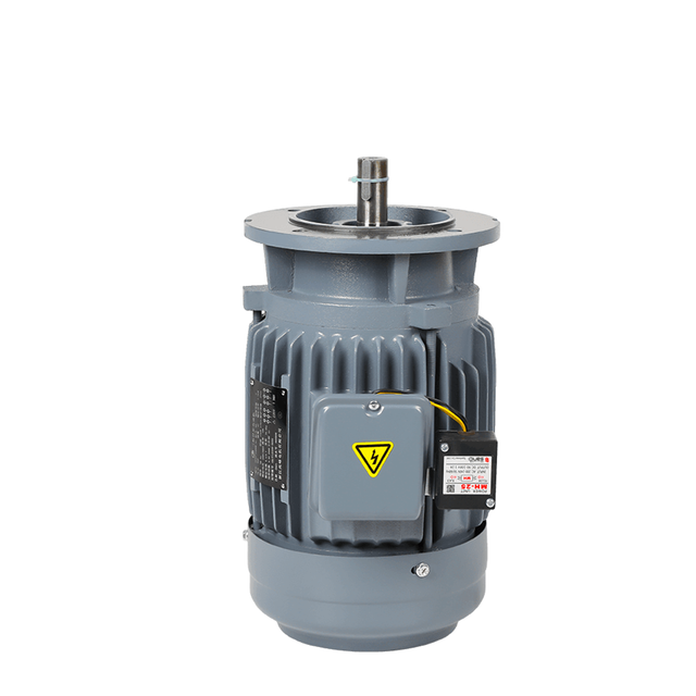 ZF Three-Phase Vertical Brake Motor