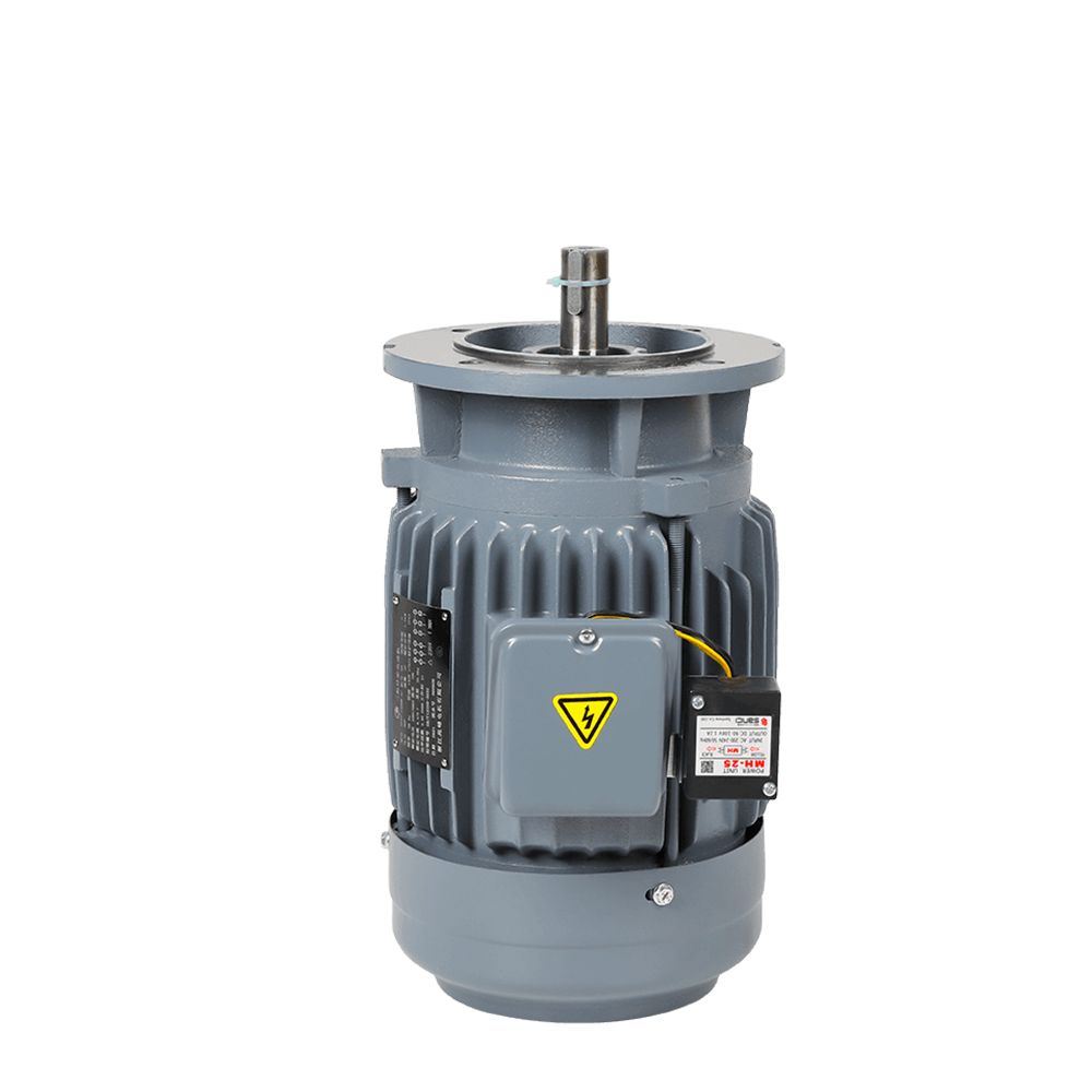 ZF Three-Phase Vertical Brake Motor