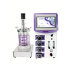 YSD-SE Series Glass Bioreactors