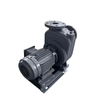 Cast iron water pump for construction and utility water transfer