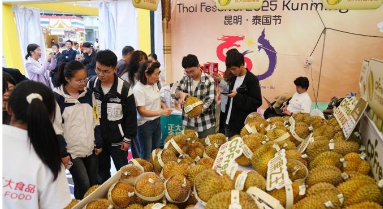 The 15th Kunming Thailand Festival in 2025 opens