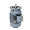 ZF Three-Phase Vertical Motor