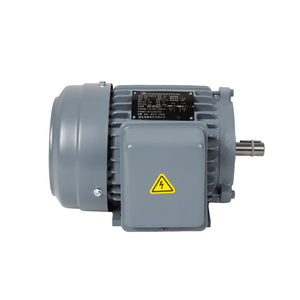 ZF Iron Casting Single-Phase Horizontal Double Capacitor Motor