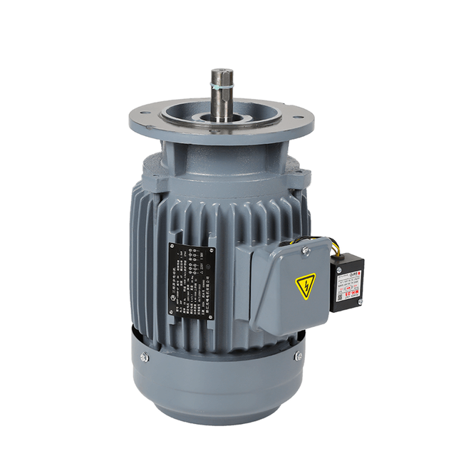 Front view of ZF three phase vertical brake motor with electromagnetic brake for hoists and lifting systems