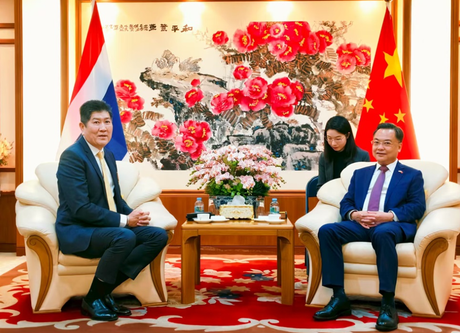 wechat_2025-08-20_175913_350.png
