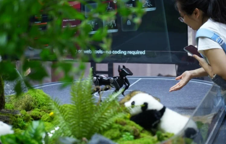 Hengbot World makes stunning debut at 2025WRC