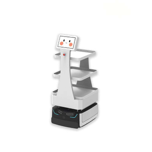 Multi-floor delivery robot with LiDAR navigation and touch display