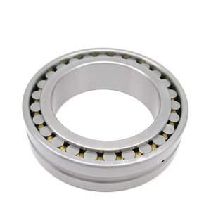 Double Row Cylindrical Roller Bearings