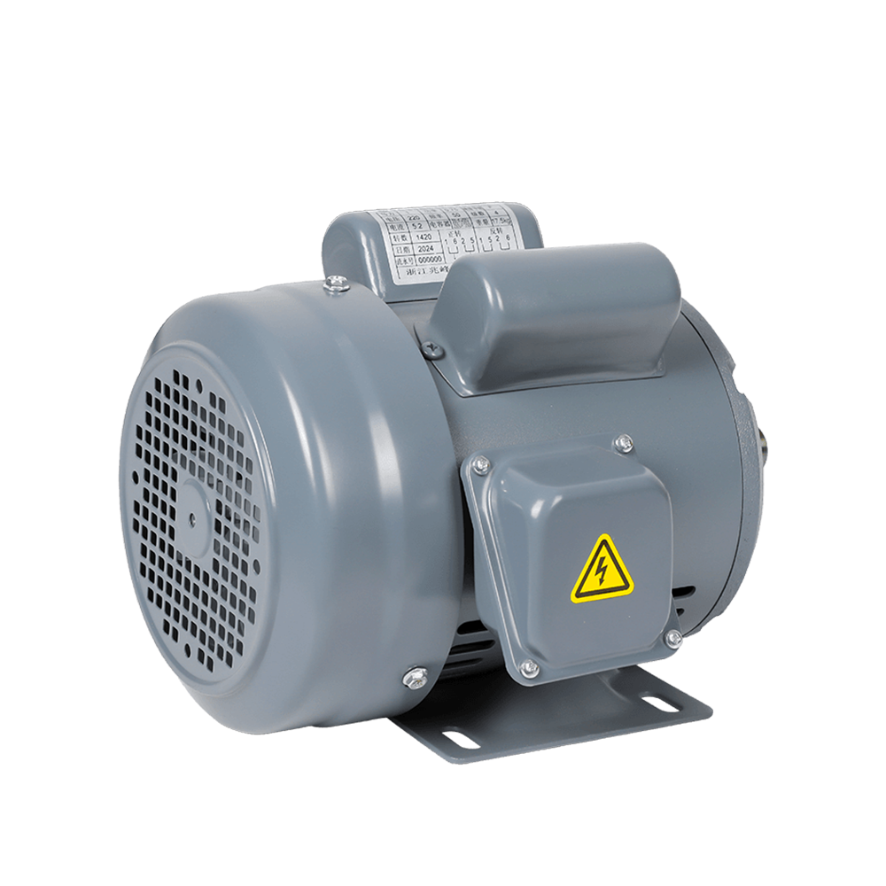 ZF Iron Shell Single-Phase Horizontal Double Capacitor Motor